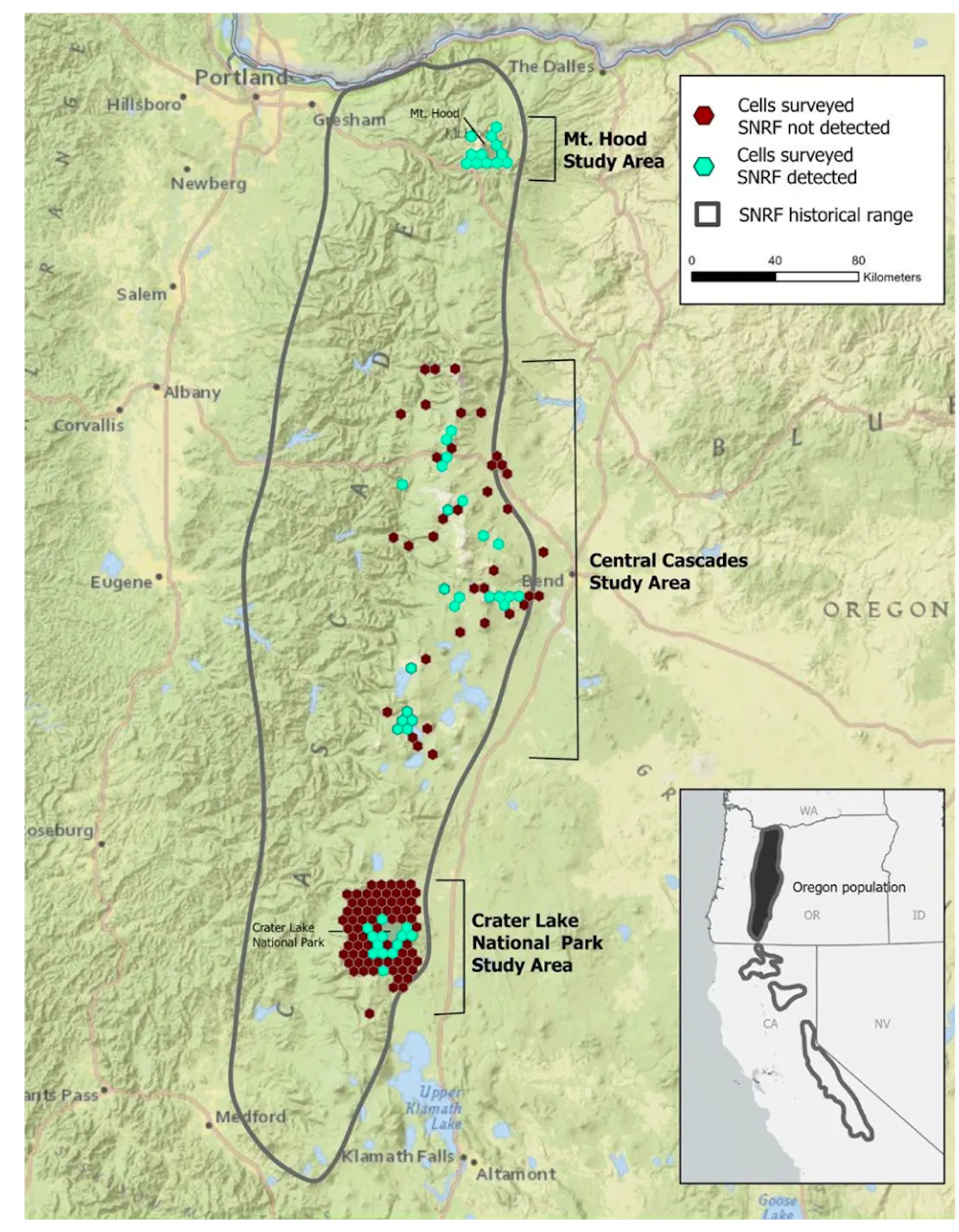 Tracking the Elusive Sierra Nevada Red Fox in Oregon | Defenders of